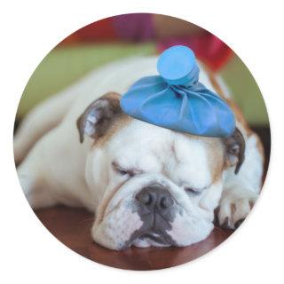 Getty Images | Sick Young Puppy Classic Round Sticker
