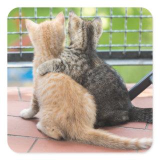 Getty Images | Two Kittens on a Balcony Square Sticker