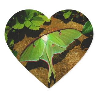 Giant Green Luna moth Heart Sticker