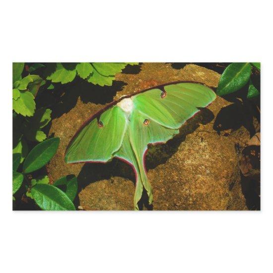 Giant Green Luna moth Rectangular Sticker