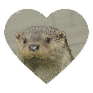 Giant River Otter Stickers