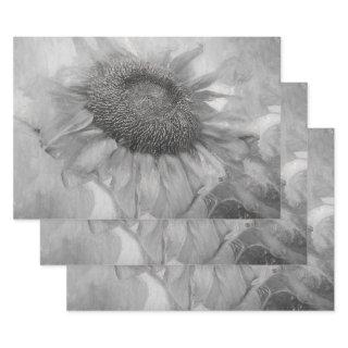 Giant Sunflower Vintage Style Black And White Art  Sheets