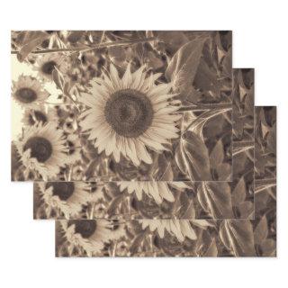 Giant Sunflowers Field Vintage Sepia Decoupage  Sheets