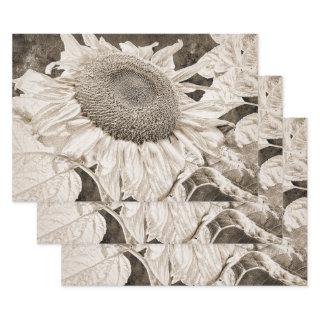 Giant Sunflowers Sepia Brown Texture Art Decoupage  Sheets