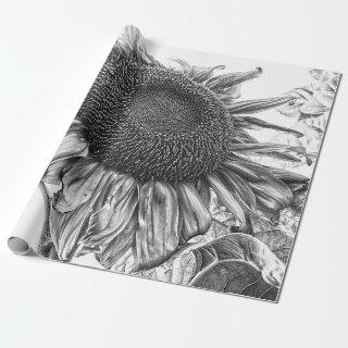 Giant Sunflowers Vintage Black And White Art