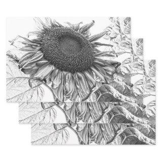 Giant Sunflowers Vintage Black And White Art  Sheets