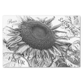 Giant Sunflowers Vintage Black And White Script Tissue Paper