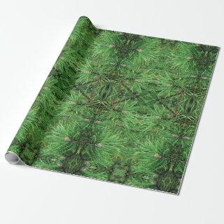 Gift Wrap Roll Pine Boughs