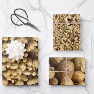 Gift Wrap Set - Peanuts in 3 Sizes
