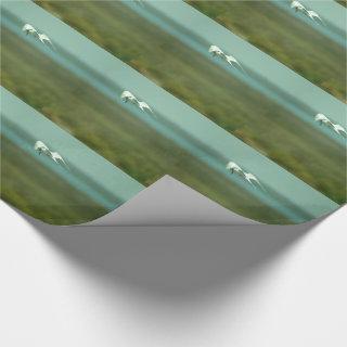 Gift Wrap - Tern in Flight