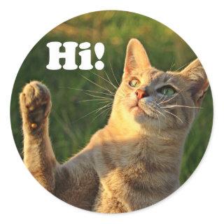 Ginger Cat Saying Hi! Classic Round Sticker