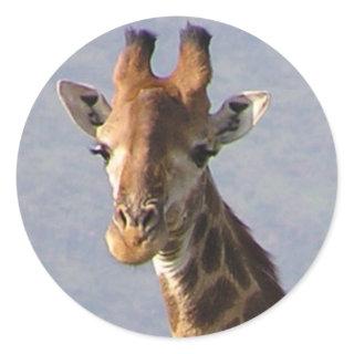 Giraffe Classic Round Sticker