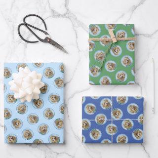 Glen of Imaal Terrier Painting Original Dog Art  Sheets