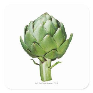 Globe Artichoke on White Background Cut Out Square Sticker