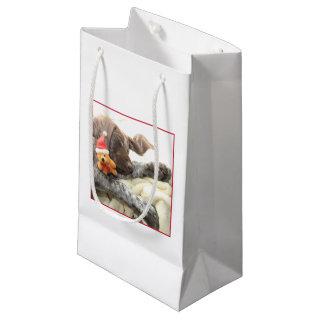 Glossy Grizzly Christmas Gift Small Gift Bag