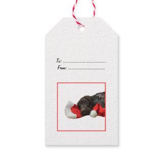 Glossy Grizzly Christmas Gift Tag
