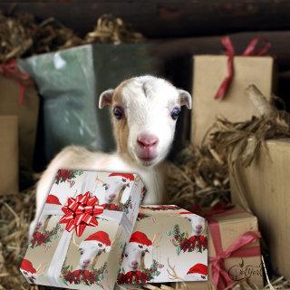 Goat Christmas Adorable LaMancha Kid in Antlers  W
