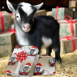 Goat Christmas Cute Pygmy Baby Goat in Antlers