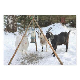 Goats Snow Feeder Photo  Sheets