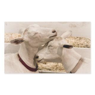 Goats Snuggling Rectangular Sticker
