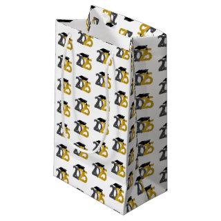 Gold and Silver Class of 2025 Graduation Small Gift Bag