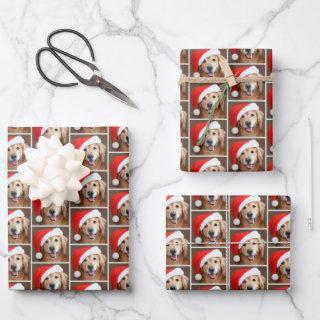 Golden Retriever Dog With Red Santa Hat Christmas  Sheets