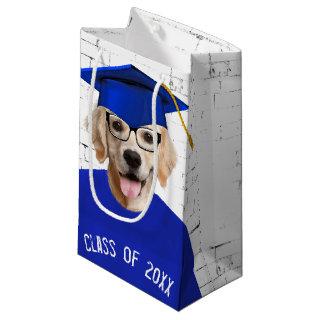 Golden Retriever Graduate with Blue Cap  Small Gift Bag