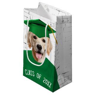 Golden Retriever Graduate with Green Cap Small Gift Bag