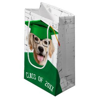 Golden Retriever Graduate with Green T-shirt  Small Gift Bag