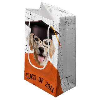 Golden Retriever Graduate with Orange T-shirt Small Gift Bag