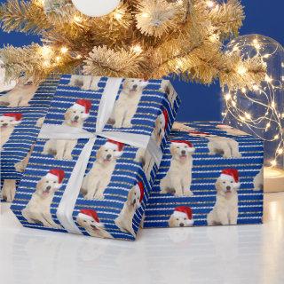 Golden Retriever On Glitter Stripes