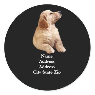 Golden Retriever Puppy Address Label