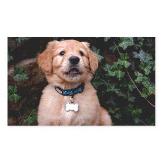 Golden Retriever Puppy Rectangular Sticker