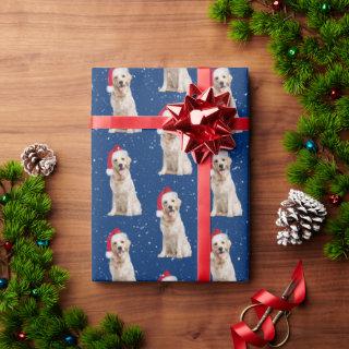 Golden Retriever with Christmas Hat
