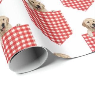 Golden Retrievers In Gingham Pocket