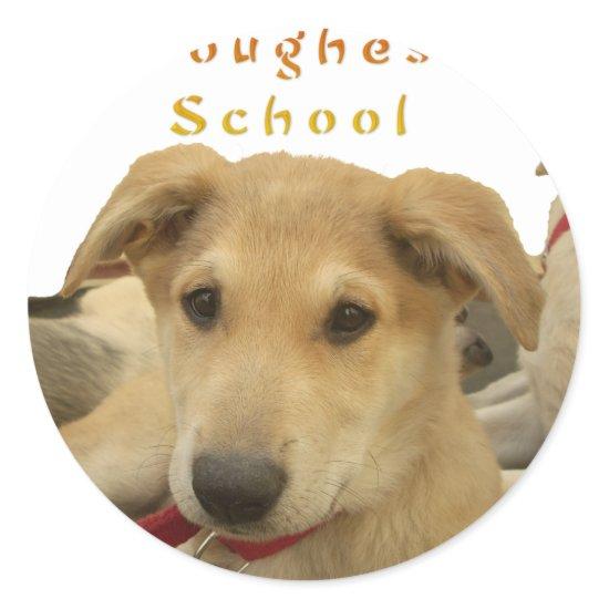 Golden Wisdom: A Dog's-Eye View of Life's School Classic Round Sticker