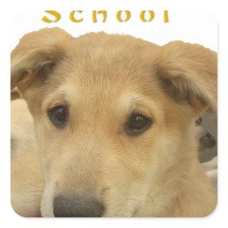 Golden Wisdom: A Dog's-Eye View of Life's School Square Sticker
