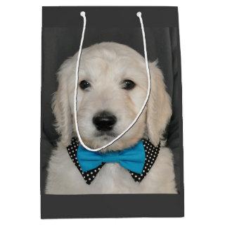 Goldendoodle puppy in bow tie gift bag