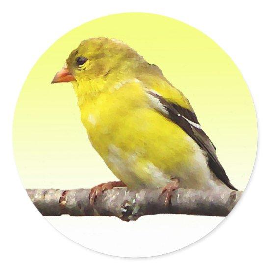 Goldfinch Classic Round Sticker