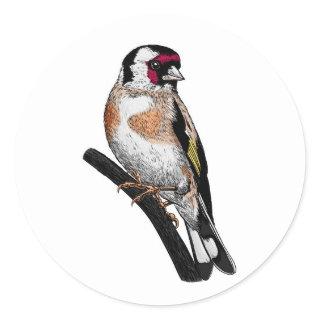 Goldfinch drawing classic round sticker