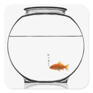 Goldfish in bowl square sticker