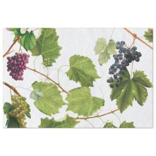 Grapes Vineyard Mediterranean Greek Island  Tissue Paper