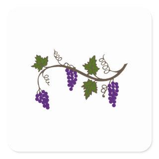 GRAPEVINE SQUARE STICKER
