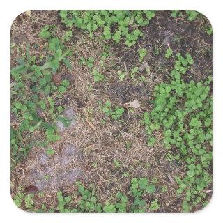 grass and dirt patch square sticker