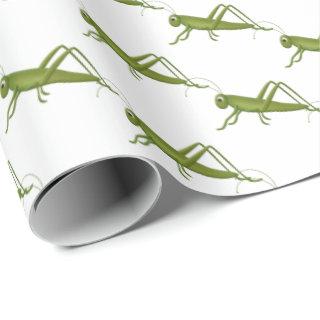 Grasshopper On White