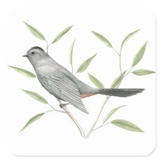 Gray Catbird Bird Art Sticker