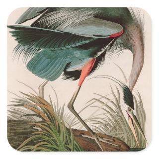 Great Blue Heron Birds of America Audubon Print Square Sticker