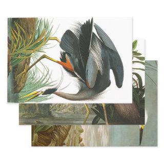 Great Blue Heron by John James Audubon Decpupage  Sheets