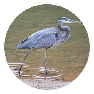 Great Blue Heron Classic Round Sticker