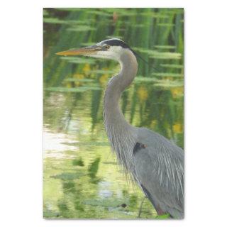 Great Blue Heron In pond- Green Tissue Paper